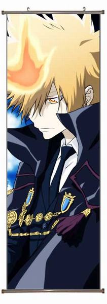 Hitman Reborn PU Wallscroll (reserve 3 days ahead) NO FILLING