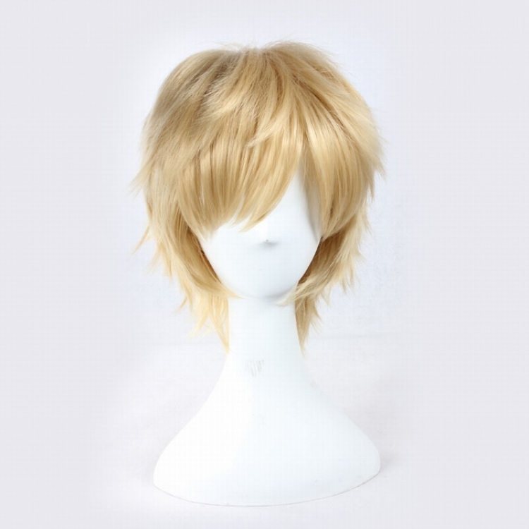 Anime COS Wig