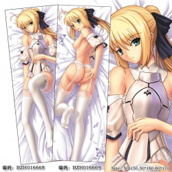 BZH016669 Fate stay night Doub...