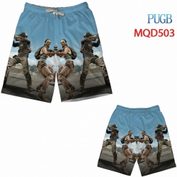 Playerunknowns Batt Beach pant...