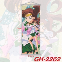 sailormoon Plastic Rod Cloth S...