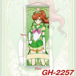 sailormoon Plastic Rod Cloth S...