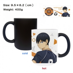 Haikyuu!! Anime peripherals co...